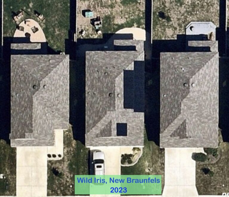 2023 - Wild Iris - New Braunfels